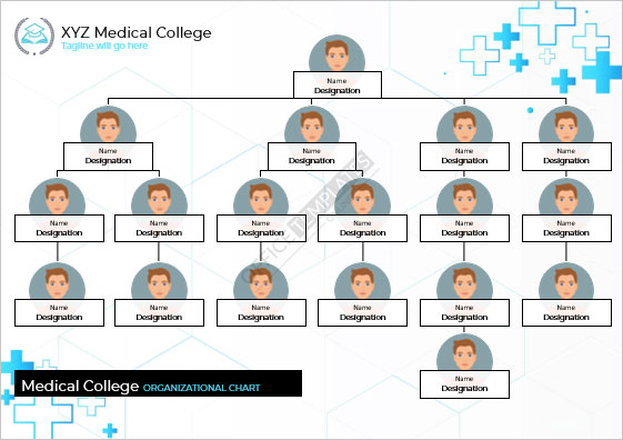 business organizational chart template word