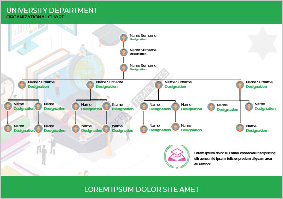 department organizational chart template