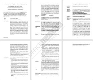 15+ FREE Asset Purchase Agreement Template for MS Word