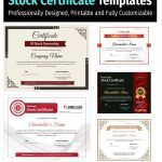 11+ Professional Stock Certificate Templates for Every Need
