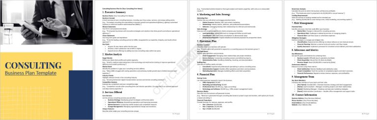 21+ FREE MS Word Business Plan Templates, Examples & Samples