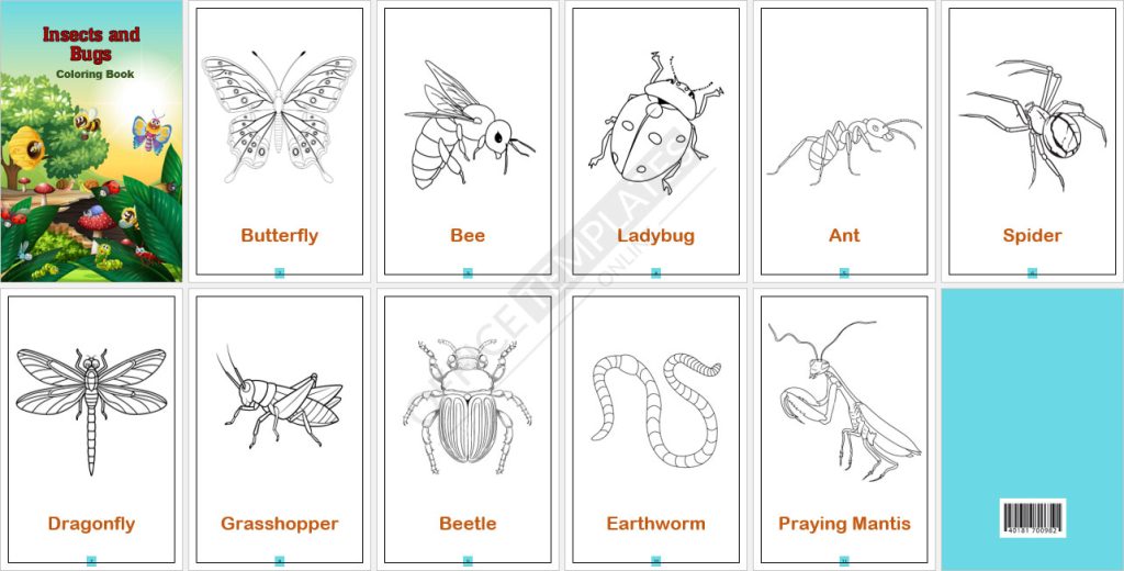 Insects and Bugs Coloring Book Template