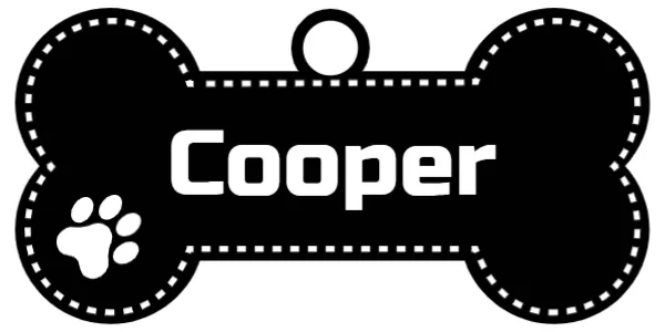 Dog Collar Name Tag – Classic Bone Tag