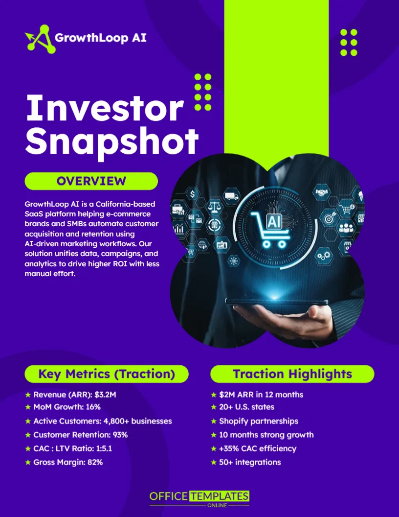Startup Investor Snapshot Template