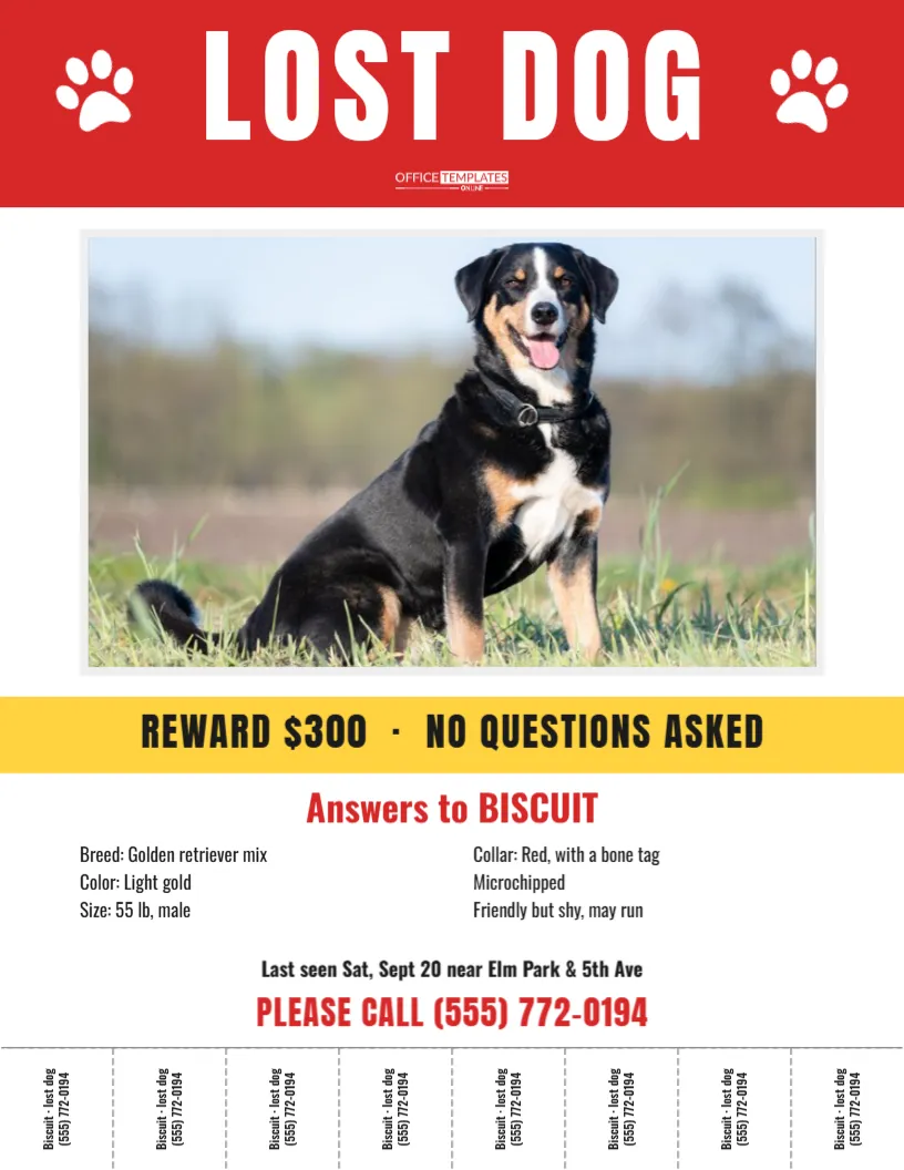 Lost Pet Poster Template – Lost Dog Flyer with Photo & Tear-Off Tabs