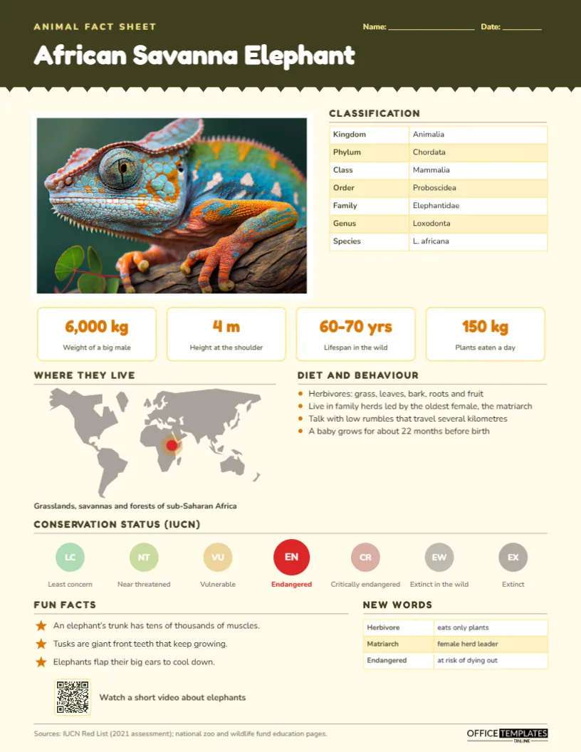 Animal Fact Sheet for Students – African Savanna Elephant